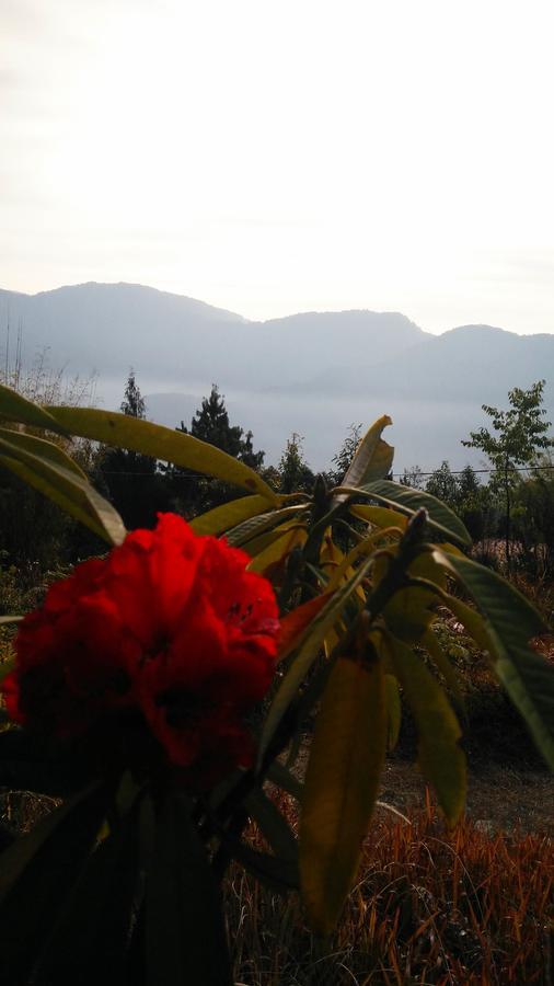 Neora Valley Retreat Hotel Rishop Bagian luar foto
